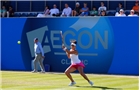 BIRMINGHAM, ENGLAND - JUNE 12:  Casey Dellacquia of Australia hits a return during Day Four of the Aegon Classic at Edgbaston Priory Club on June 12, 2014 in Birmingham, England.  (Photo by Paul Thomas/Getty Images)
